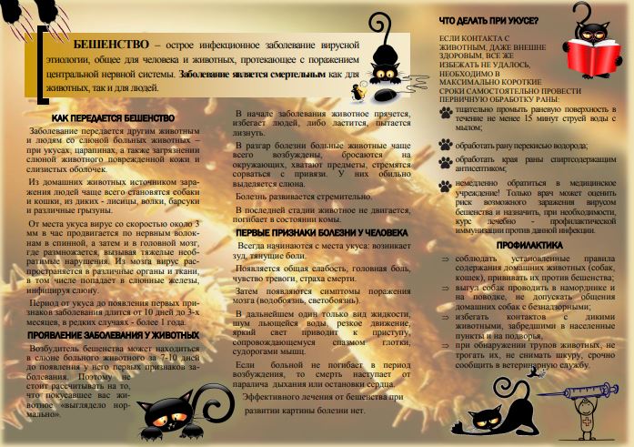 чем_опасно_бешенство_06.02.2026.JPG1.JPG